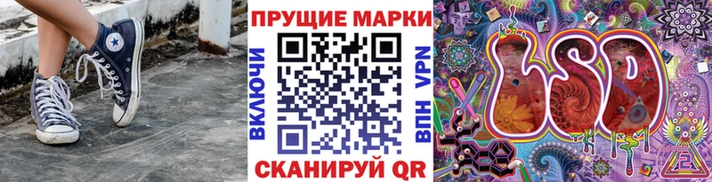 Купить закладки  Медвежьегорск  Наркотические марки 1500мкг 