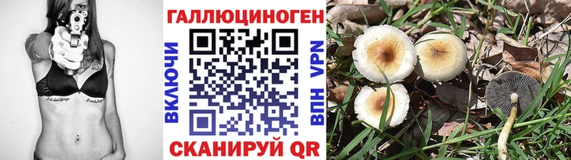 Галлюциногенные грибы Psilocybe Медвежьегорск